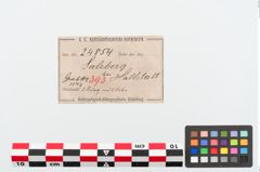Etiketten zu Bronzegehänge (NHMW-PRAE-024854)
